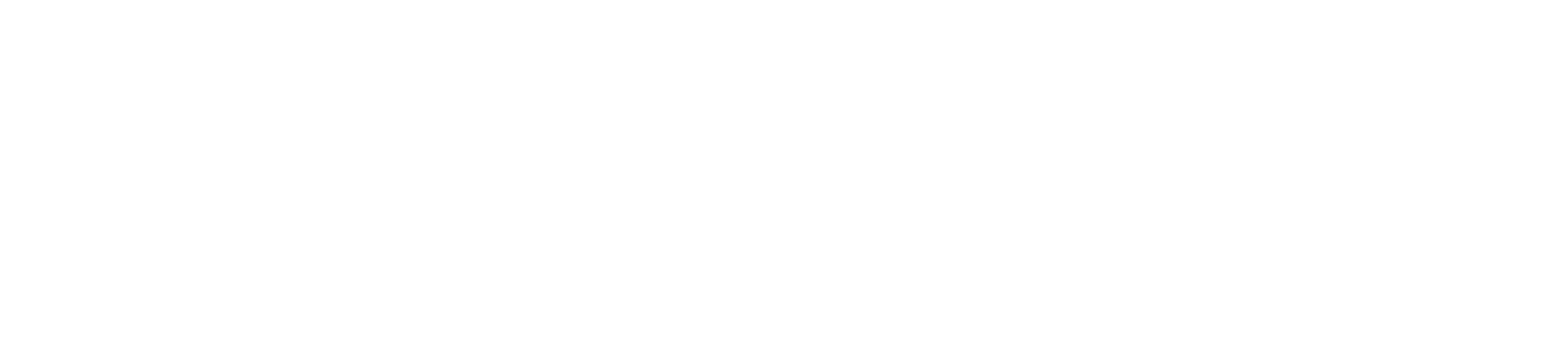 logo2