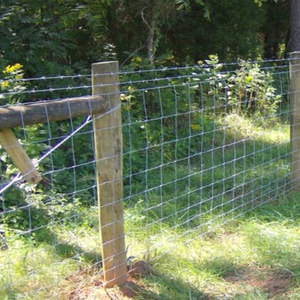 Cattle Fence