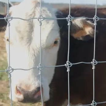 Cheap PVC Galvanized Cattle Mesh Fence Protect Plants And Livestock