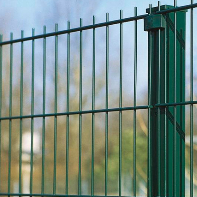 Double Wire Fence