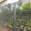 High Security Small Hole Clear View Mesh Style BRC Roll Top Fence for School Playground