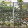 High Security Small Hole Clear View Mesh Style BRC Roll Top Fence for School Playground