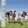 Galvanized Cattle Woven Wire Fence Livestock for Farm Animal Fence