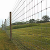 Galvanized Cattle Woven Wire Fence Livestock for Farm Animal Fence