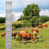 Galvanized Cattle Woven Wire Fence Livestock for Farm Animal Fence