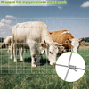 Cheap PVC Galvanized Cattle Mesh Fence Protect Plants And Livestock