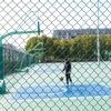 Green Wire Mesh Sport Fence for Sports Court