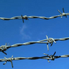 High Security Decoration Barbed Wire for Wire Mesh Fence 