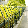 Landscape Lawn Fence Green Belt Isolation Barrier
