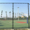 Green Wire Mesh Sport Fence for Sports Court