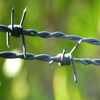 Perimeter Security Barbed Wire for Various Mesh Fence Projects