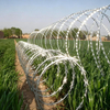 Hot Dip Galvanized Razor Barbed Wire for Airport Security