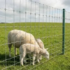 Galvanized Cattle Woven Wire Fence Livestock for Farm Animal Fence