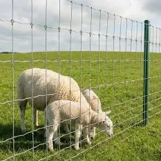 Galvanized Cattle Woven Wire Fence Livestock for Farm Animal Fence