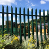 Decorative Powder Coated D Section Palisade Fence for Factory Perimeter