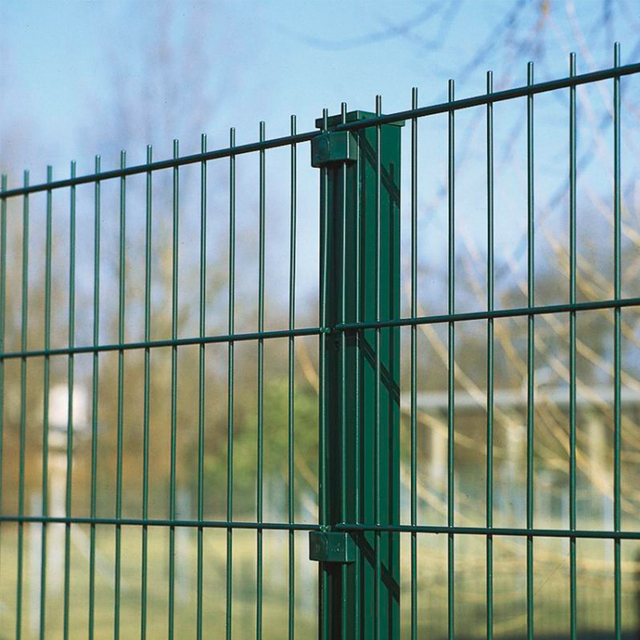 Double Wire Fence